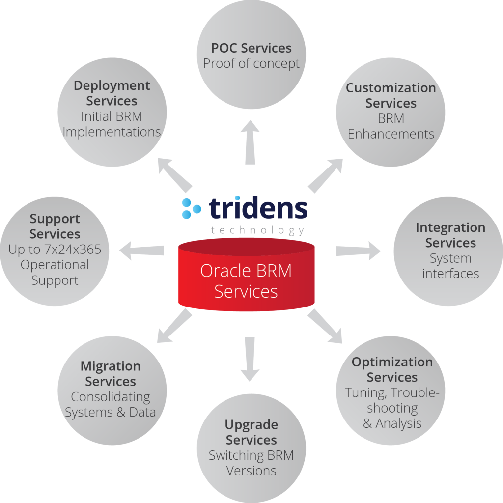 Oracle BRM Services